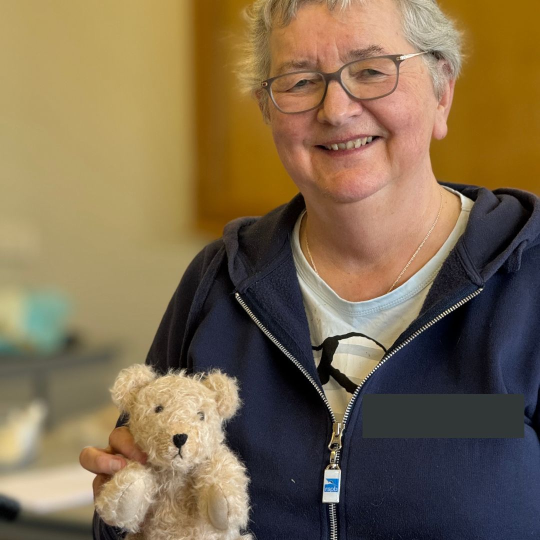 Jacqueline's Bears - Gallery