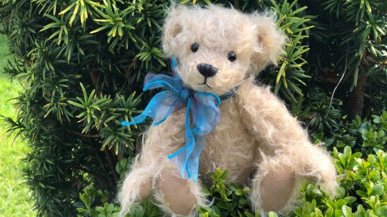 Milo - Jacqueline's Bears
